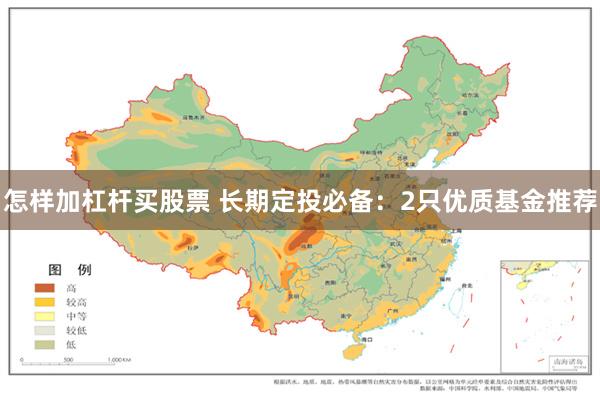 怎样加杠杆买股票 长期定投必备：2只优质基金推荐