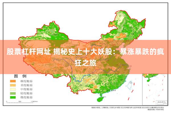 股票杠杆网址 揭秘史上十大妖股：暴涨暴跌的疯狂之旅