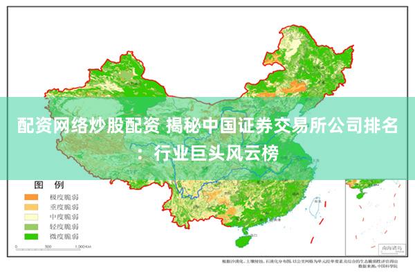 配资网络炒股配资 揭秘中国证券交易所公司排名：行业巨头风云榜