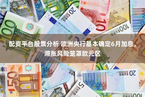 配资平台股票分析 欧洲央行基本确定6月加息，滞胀风险笼罩欧元区