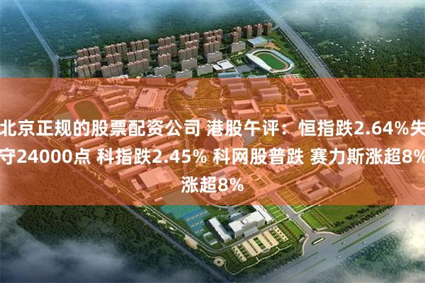 北京正规的股票配资公司 港股午评：恒指跌2.64%失守24000点 科指跌2.45% 科网股普跌 赛力斯涨超8%