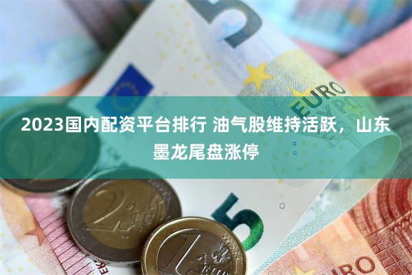 2023国内配资平台排行 油气股维持活跃，山东墨龙尾盘涨停